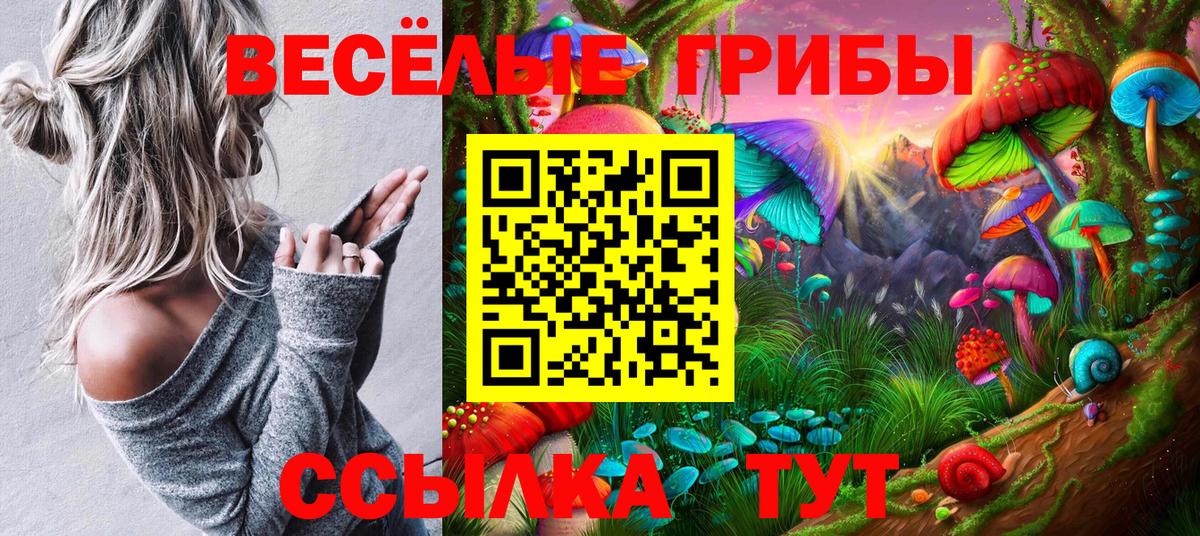 Воткинск  Галлюциногенные грибы мицелий  Вход с VPN 
