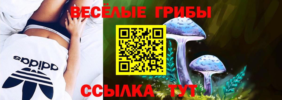Псилоцибиновые грибы GOLDEN TEACHER Воткинск